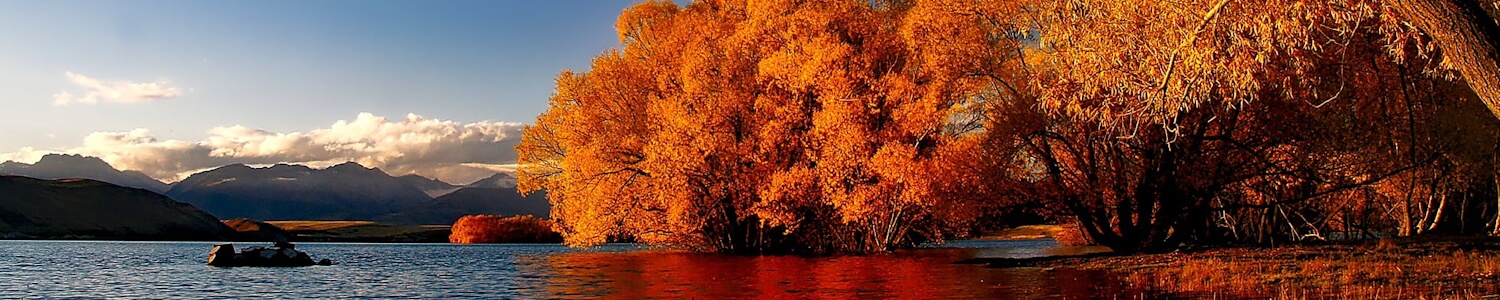 Lake Tekapo orange tree and water reflections